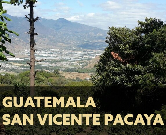 San Vicente Pacaya